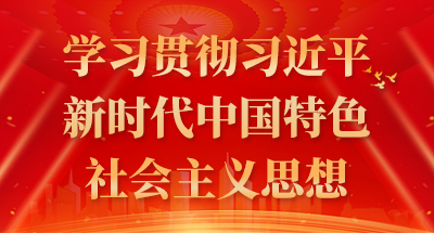 学习贯彻习近平新时代中国特色社会主义思想