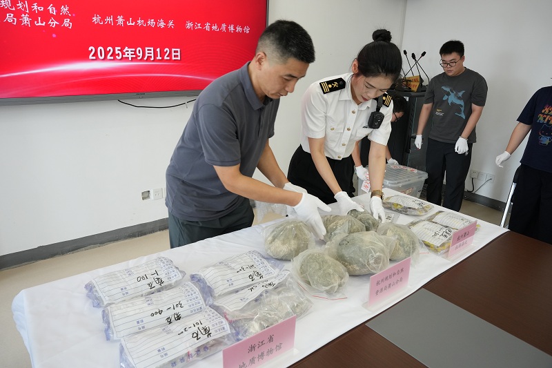 图为:工作人员正在清点化石数量 图为:工作人员正在清点化石数量